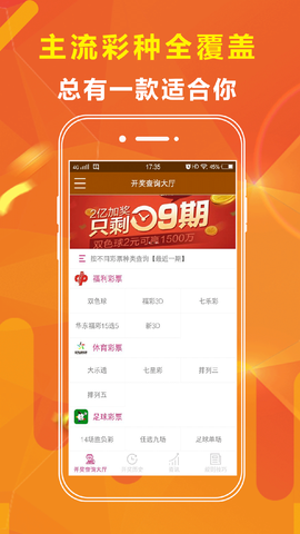 王中王正版一肖資料大全，深度解析與探索，王中王正版一肖資料大全，深度剖析與探索