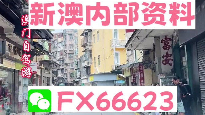 新澳精準資料免費提供，探索與解析，新澳精準資料解析與探索，免費提供的深度解讀
