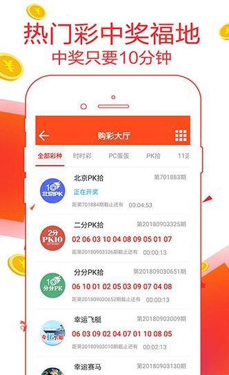 王中王一肖恃com，深度解析與SEO優(yōu)化策略，王中王一肖恃com，全面深度解析與SEO優(yōu)化策略探討