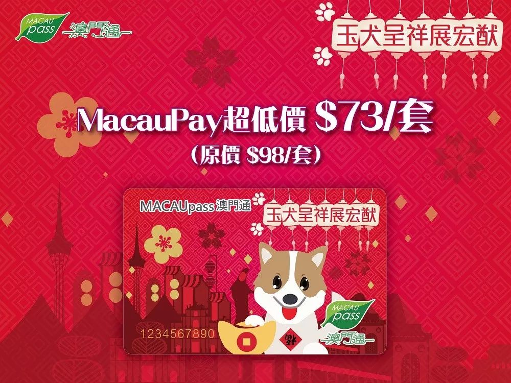 澳門生肖卡，探索未來的趨勢與機遇（2025年展望），澳門生肖卡，未來趨勢與機遇展望（2025年）