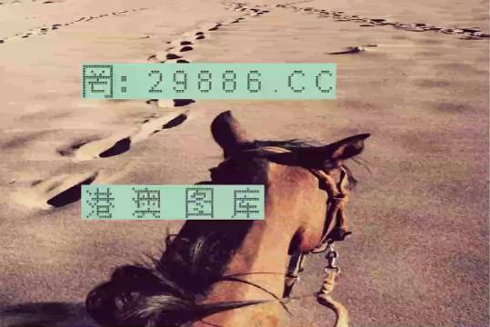 香港特馬資料王中王24期，深度解析與探索，香港特馬資料王中王深度解析與探索，第24期探索之旅