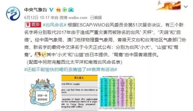 新澳門必中三肖三碼三期必開劉伯，揭秘彩票背后的秘密與策略，揭秘彩票背后的秘密與策略，劉伯的新澳門三期必開三肖三碼預測技巧