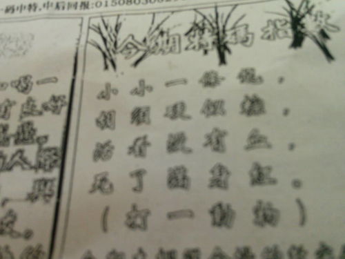劉伯溫特一肖王中王，傳奇人物與生肖之王的神秘結(jié)合，劉伯溫生肖傳奇，傳奇人物與生肖之王的神秘交融