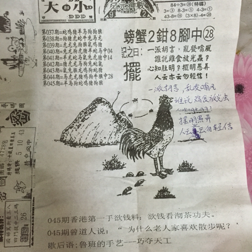 揭秘林中的高手王中王猜一肖的奧秘，揭秘林中之王王中王與生肖奧秘探秘