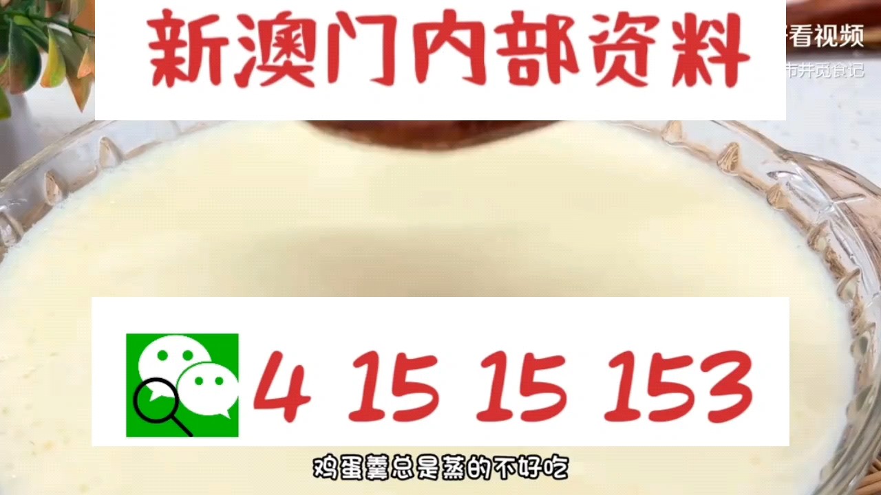 最快新澳門開獎直播，實時掌握開獎信息，體驗極速互動，新澳門實時開獎直播，極速掌握開獎信息，互動體驗盡在指尖