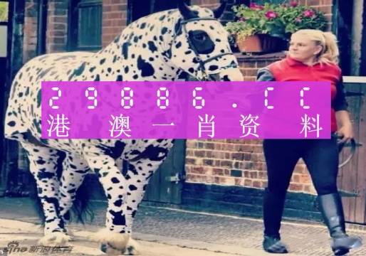 香港網(wǎng)址王中王一肖中特，探索與解析，香港網(wǎng)址王中王一肖中特，深度探索與解析