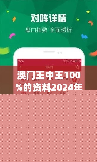 王中王網(wǎng)站一肖，探索與SEO優(yōu)化策略，王中王網(wǎng)站一肖，深度探索與SEO優(yōu)化策略實(shí)踐