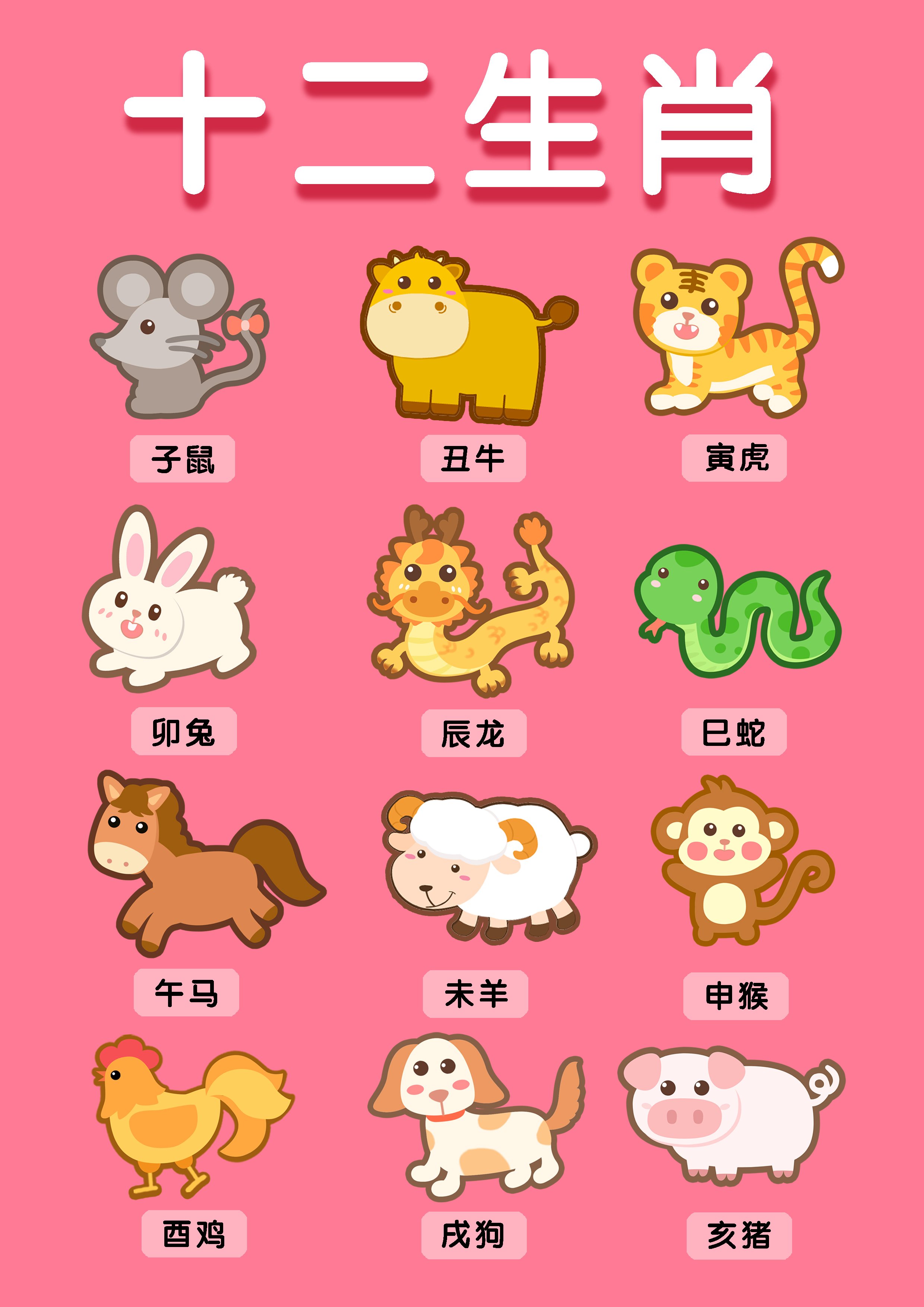 一肖有哪些生肖——生肖文化深度解析，生肖文化深度解析，揭秘十二生肖中的一肖奧秘