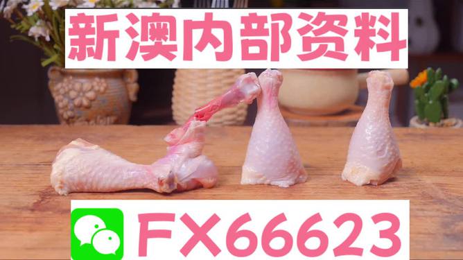 澳門一碼中精準一碼免費中特論壇，探索精準預測的魅力與優(yōu)勢，澳門一碼精準預測探索論壇，優(yōu)勢與魅力展現(xiàn)