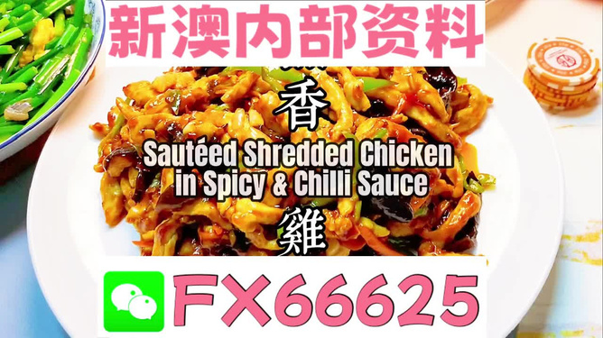 新奧天天精準資料大全，全方位解讀與應用指南，新奧天天精準資料大全，全方位解讀與應用指南手冊