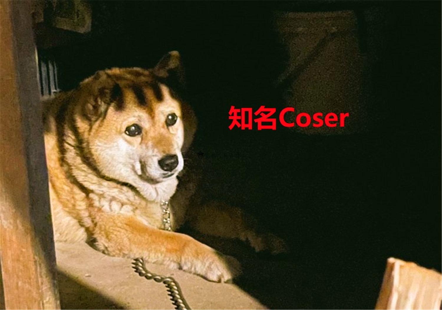 豬狗同行王中王，猜一肖，深度解析與SEO優(yōu)化，豬狗同行王中王猜謎解析與SEO優(yōu)化技巧，深度解析揭秘生肖之謎