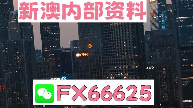 澳門跑狗，探索與解析，澳門跑狗，探索與解析之道