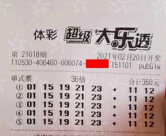 王中王018期指一生肖，揭秘背后的奧秘與意義，揭秘生肖奧秘，王中王生肖背后的意義與秘密
