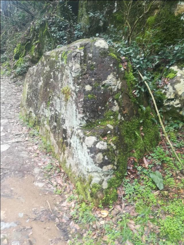 揭秘四不像劉伯溫一肖圖——探尋背后的神秘故事與SEO奧秘，揭秘四不像劉伯溫一肖圖背后的神秘故事與SEO奧秘探索