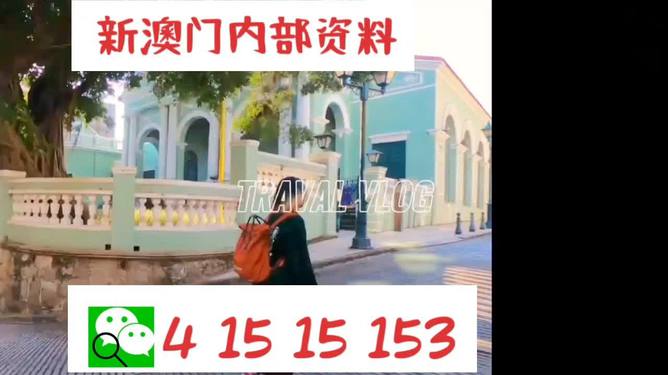 澳門944資料詳解，探索其背后的故事與重要性，澳門944資料深度解析，背后的故事與重要性探索