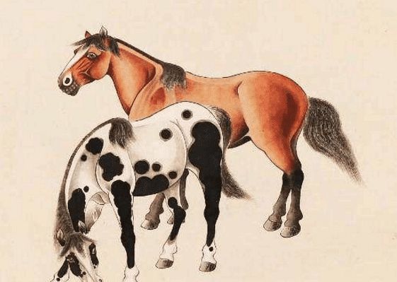 馬一王中王特平一肖圖，深度解析與SEO優(yōu)化策略，深度解析馬一王中王特平肖圖，SEO優(yōu)化策略探討