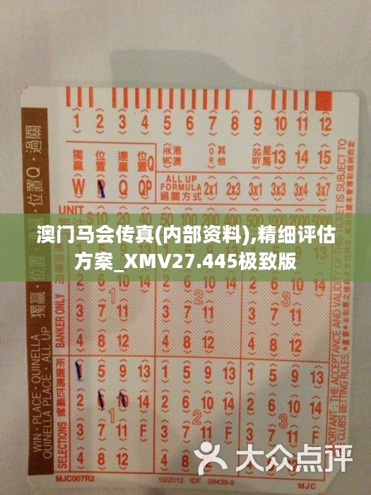 馬會(huì)傳真正版，探索正版馬會(huì)文化的魅力與價(jià)值，正版馬會(huì)文化的魅力與價(jià)值探索