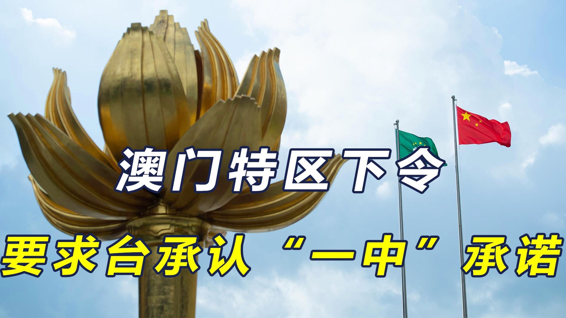 澳門(mén)一碼一肖一特一中直播，探索與體驗(yàn)獨(dú)特的娛樂(lè)盛宴，澳門(mén)一碼一肖直播，獨(dú)特娛樂(lè)盛宴的探索與體驗(yàn)