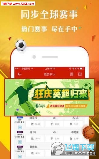 王中王一肖，探尋背后的故事與影響力（2019年），王中王一肖，背后的故事與影響力揭秘（2019年）