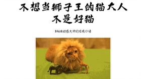 王中王013期指一生肖——探尋背后的秘密與奧秘，王中王013期生肖揭秘，探尋背后的秘密與奧秘之旅
