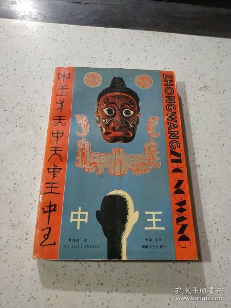 王中王資料與肖中特，深度解析，王中王資料與肖中特深度剖析