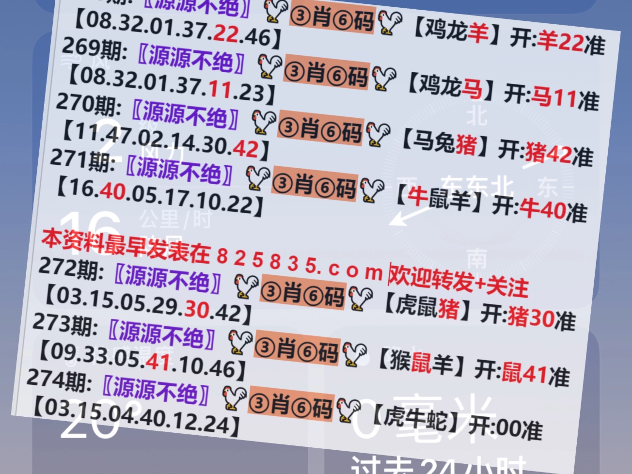 澳門一肖一碼開獎結(jié)果，揭秘彩票背后的秘密，澳門彩票開獎結(jié)果揭秘，一肖一碼背后的秘密