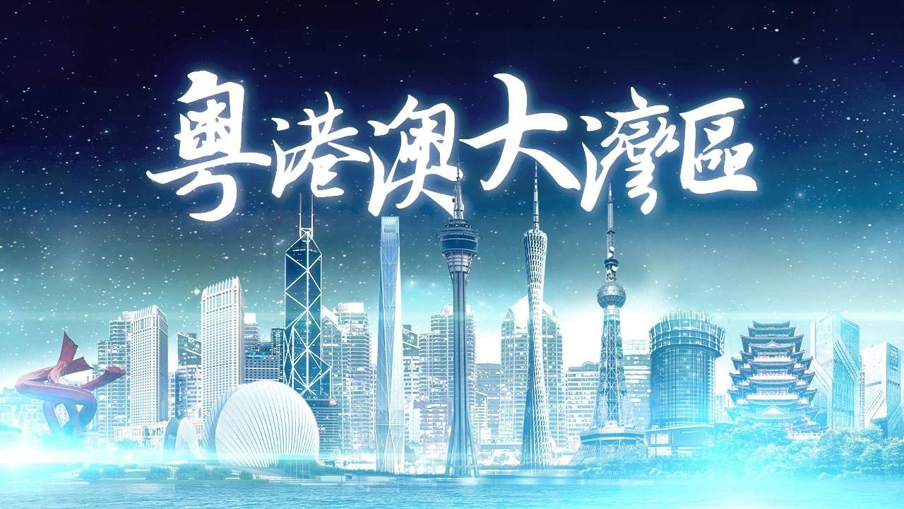 2025年香港正版免費資料全面解析，香港正版免費資料全面解析（2025版）