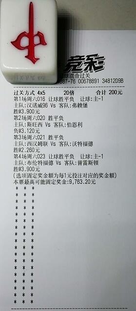 揭秘買(mǎi)一肖中獎(jiǎng)的賠率與風(fēng)險(xiǎn)，你真的準(zhǔn)備好了嗎？，揭秘買(mǎi)一肖中獎(jiǎng)背后的賠率與風(fēng)險(xiǎn)，你真的做好準(zhǔn)備了嗎？