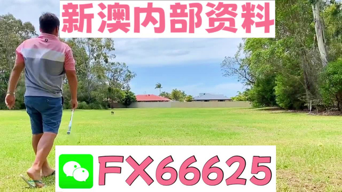 王中王兩肖一碼，揭秘背后的奧秘，王中王兩肖一碼揭秘，背后的秘密與奧秘