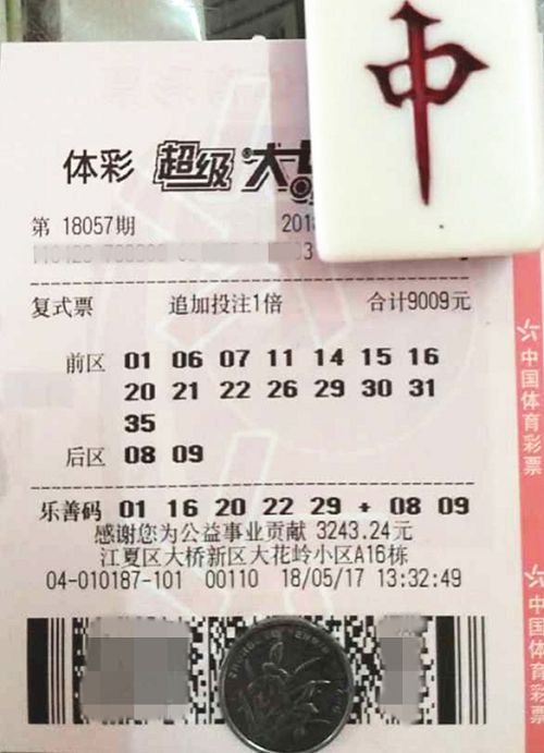 澳門六開彩天天開獎結(jié)果查詢，輕松掌握最新動態(tài)，澳門六開彩最新開獎結(jié)果查詢，輕松掌握每日動態(tài)