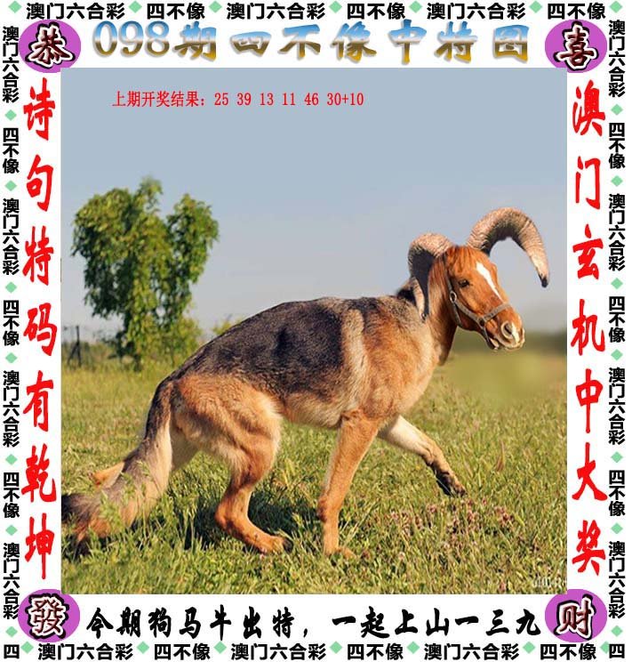 澳門四不像圖，神秘與獨(dú)特的藝術(shù)魅力，澳門四不像圖，神秘獨(dú)特的藝術(shù)魅力