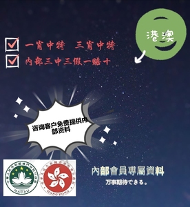 揭秘香港王中王，探尋肖中特背后的秘密，揭秘香港王中王背后的秘密與肖中特真相探索