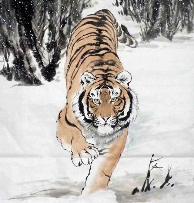 猛虎下山王中王，揭秘一生肖的神秘魅力，揭秘生肖之王——猛虎下山之神秘魅力