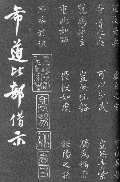 一肖二碼中特的意思解析，一肖二碼中特的意思深度解析