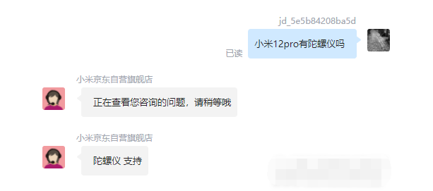 王中王一肖碼，探索關(guān)鍵詞背后的奧秘，王中王一肖碼，揭秘關(guān)鍵詞背后的奧秘