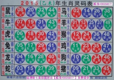 揭秘2025十二生肖與數(shù)字彩票的神奇聯(lián)系——49碼表全解析，揭秘十二生肖與數(shù)字彩票的神秘聯(lián)系，2025年49碼表深度解析