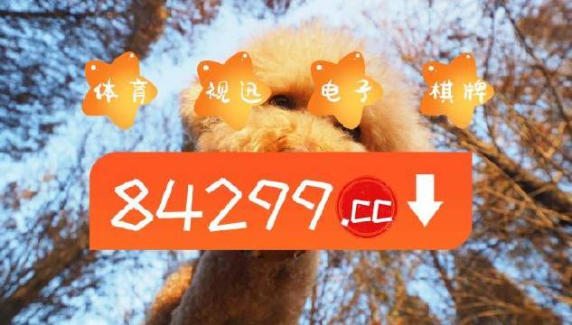 今期必中一肖一碼白小姐，揭秘彩票背后的秘密與策略，揭秘彩票背后的秘密與策略，白小姐今期必中一肖一碼解析