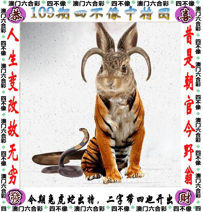 四不像王中王資料一肖，深度解析與探索，四不像王中王資料一肖，深度解析與探索揭秘