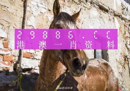 王中王資料一門肖中，深度解析與探索，王中王資料一門肖詳解，深度解析與探索