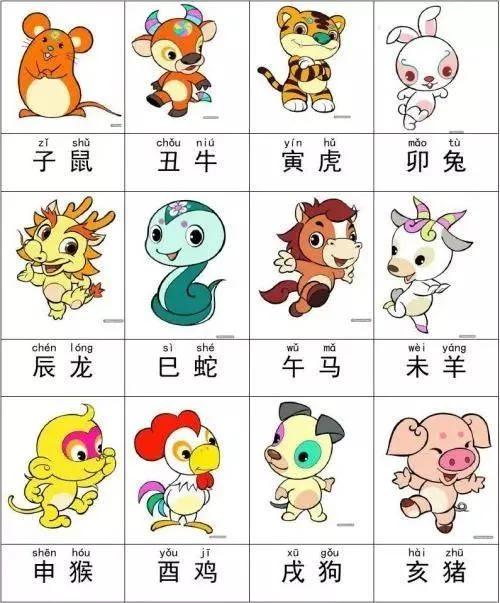一肖有哪幾個生肖，生肖一肖包含哪些生肖