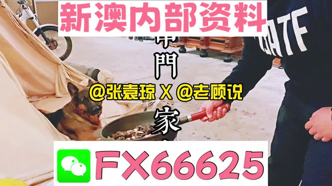新澳門(mén)精準(zhǔn)資料大全，管家婆料解析與探索，澳門(mén)精準(zhǔn)資料大全，管家婆料解析與深度探索
