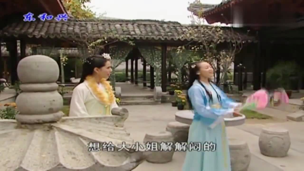 劉伯溫白小姐一肖期期準(zhǔn)，神秘預(yù)測(cè)背后的真相，劉伯溫白小姐生肖預(yù)測(cè)揭秘，神秘預(yù)測(cè)背后的真相