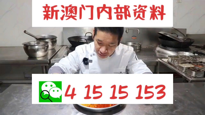 管家婆一肖資料大全，深度解析與探索，管家婆一肖資料深度解析與探索大全