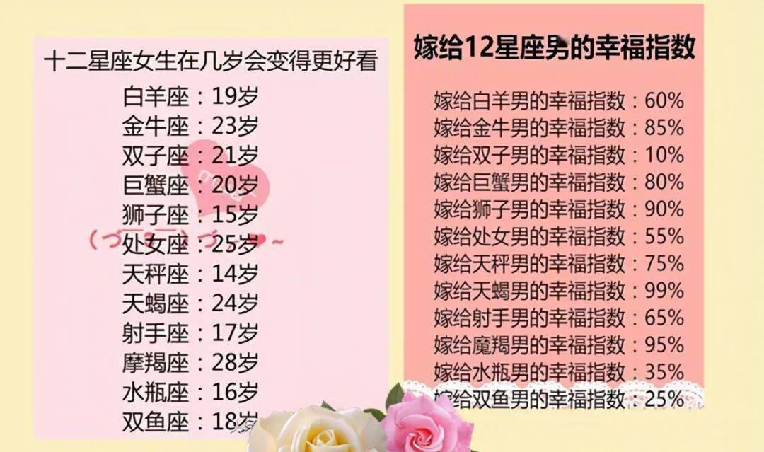王中王十二生肖所屬之肖解析，王中王十二生肖解析揭秘
