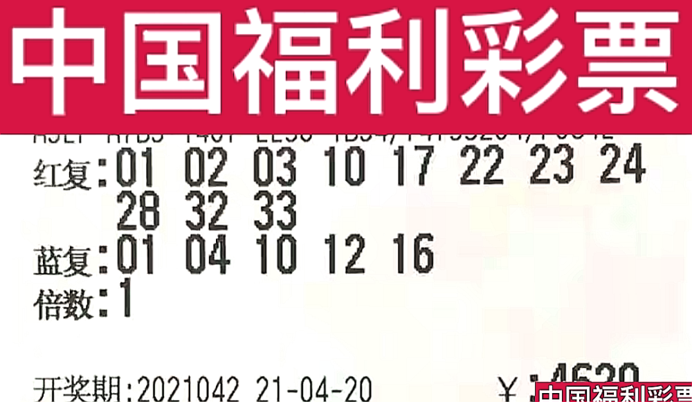 新奧門(mén)今晚開(kāi)獎(jiǎng)結(jié)果查詢(xún)第243期，全面解析與預(yù)測(cè)，新奧門(mén)第243期開(kāi)獎(jiǎng)結(jié)果解析與預(yù)測(cè)，今晚開(kāi)獎(jiǎng)揭秘