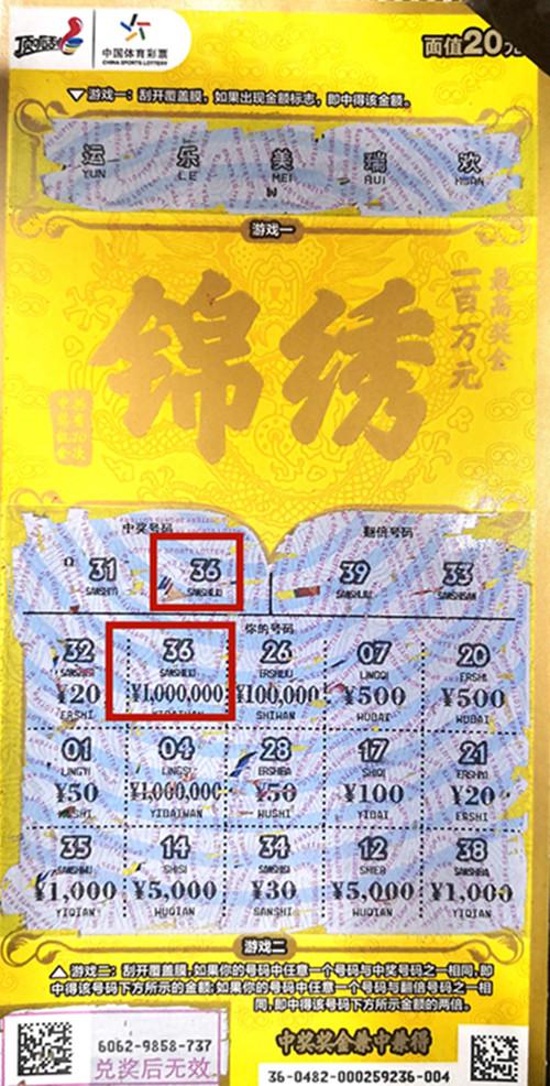 王中王六肖一碼期期中的奧秘與探索，王中王六肖一碼期奧秘揭秘與探索