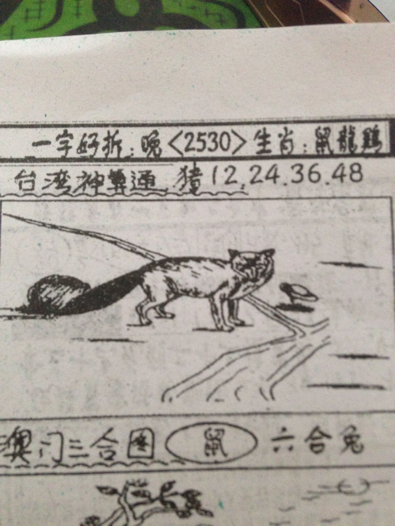 揭秘劉伯溫的生肖，一場(chǎng)看圖尋特之旅，揭秘劉伯溫生肖之謎，一場(chǎng)生肖圖片探尋之旅