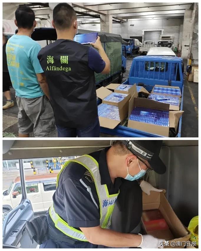 澳門今晚必開一肖080，揭秘生肖運勢與預(yù)測之謎，澳門今晚必開一肖揭秘，生肖運勢預(yù)測之謎開啟！