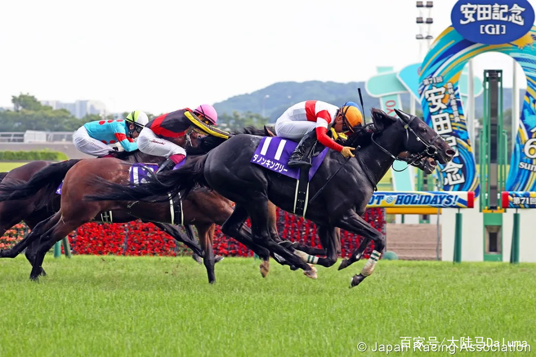 香港王中王與一馬中特肖的獨特魅力，深度解析與探索，香港王中王與一馬中特肖的獨特魅力，深度探索與解析