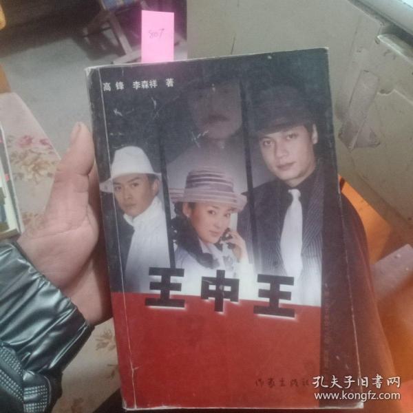 王中王資料一肖中天，深度解析與探索，王中王資料一肖中天，深度剖析與探索